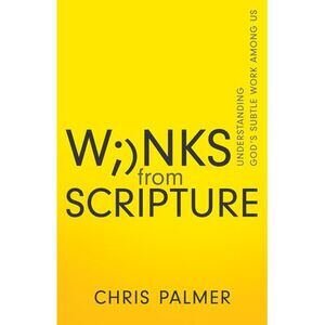 Winks from Scripture: Understanding God's Subtle Work Among Us -- Chris Palmer